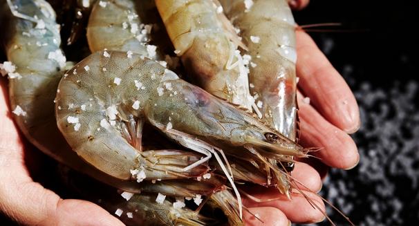 Ăn vỏ tôm có canxi không? Có chất gì? Có tốt không?