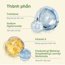 Lotion dưỡng ẩm Chifure Moisturizing Lotion