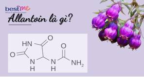 Allantoin là gì? Allantoin có tác dụng gì trong mỹ phẩm