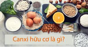 Canxi hữu cơ là gì? TOP 10 các loại canxi hữu cơ tốt nhất