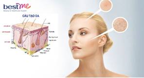 Cấu trúc da mặt - Hiểu đúng để chăm sóc da đẹp và khỏe mạnh