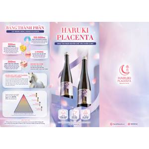 Flyer Haruki Placenta