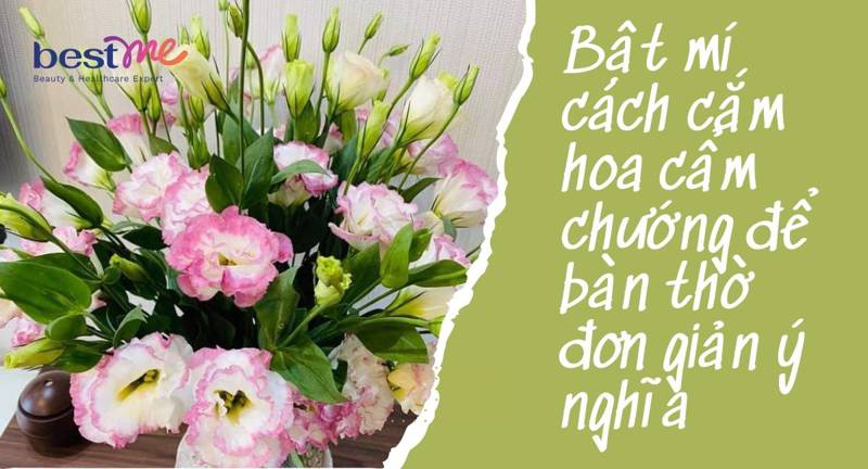 Bật mí cách cắm hoa cẩm chướng để bàn thờ đơn giản ý nghĩa