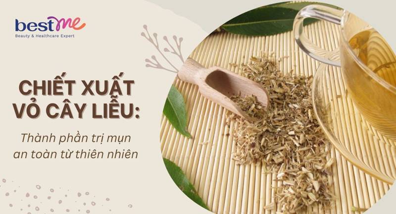 Chiết xuất vỏ cây liễu: Thành phần trị mụn an toàn từ thiên nhiên