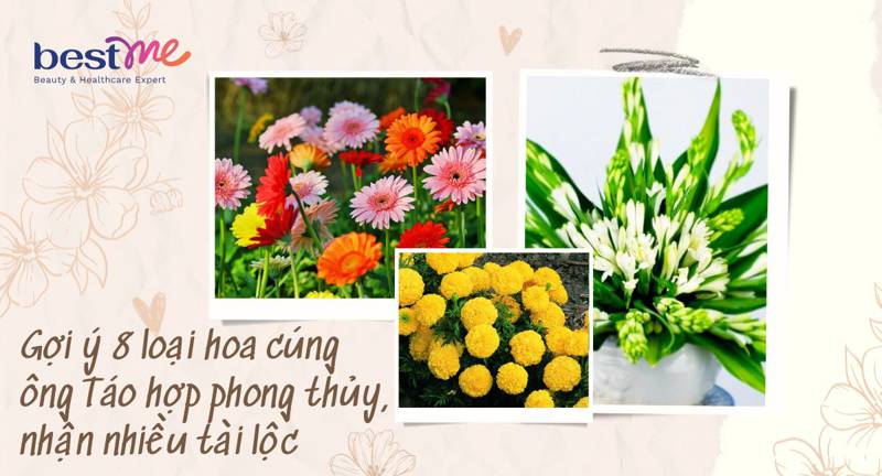 Gợi ý 8 loại hoa cúng ông Táo hợp phong thủy, nhận nhiều tài lộc