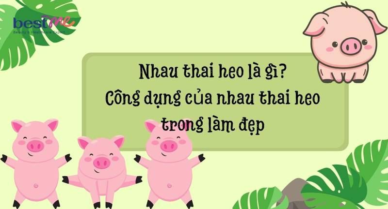 Nhau thai heo là gì? Tại sao lại được ưa chuộng trong làm đẹp da