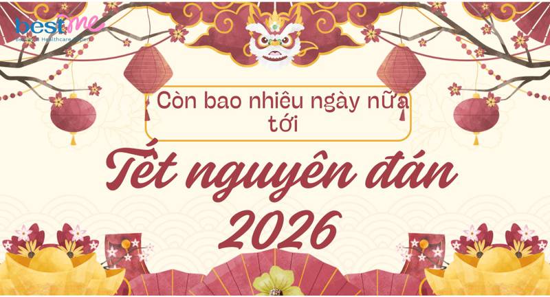 Tết nguyên đán 2026 là năm con gì? Còn bao nhiêu ngày nữa tới tết?