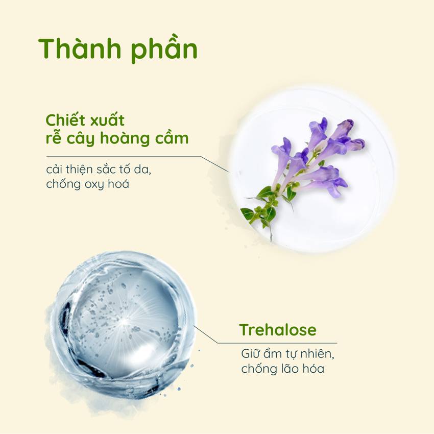 Gel dưỡng ẩm Chifure Moisture Gel