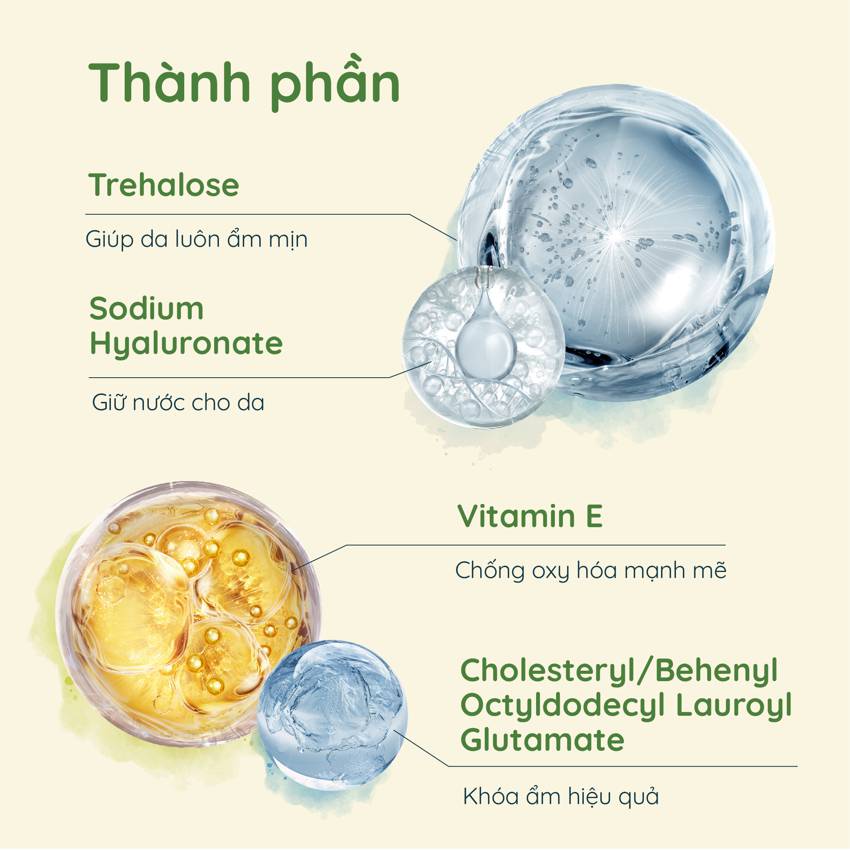 Lotion dưỡng ẩm Chifure Moisturizing Lotion