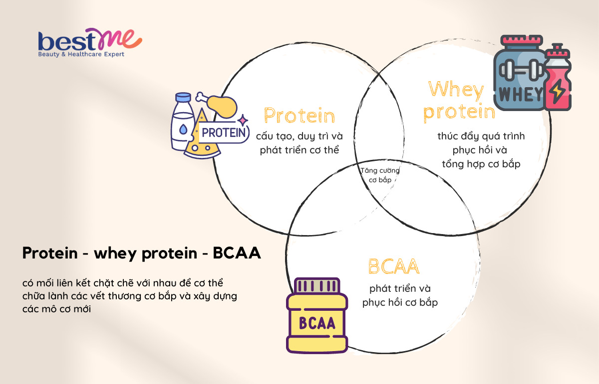 Whey protein, protein và BCAA là các thành phần quan trọng trong dinh dưỡng
