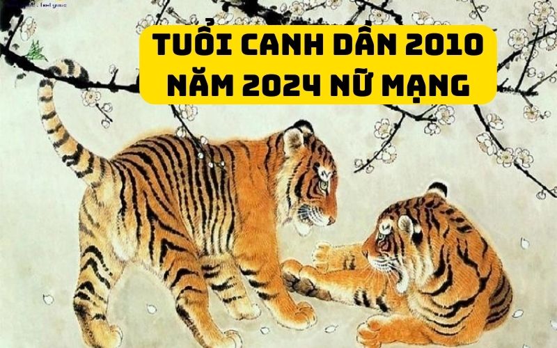 Xem tử vi tuổi dần năm 2024 theo mạng, liệu có nên sinh con hay không? - 6