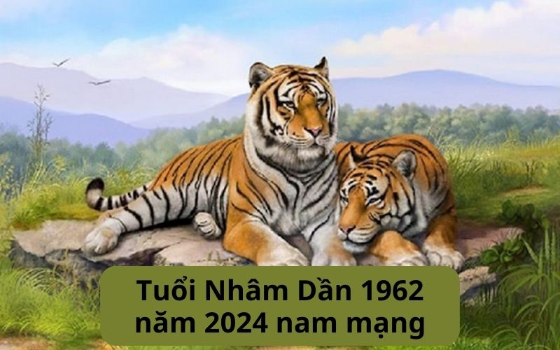 Xem tử vi tuổi dần năm 2024 theo mạng, liệu có nên sinh con hay không? - 7