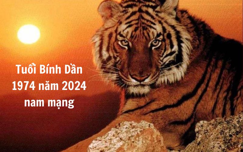 Xem tử vi tuổi dần năm 2024 theo mạng, liệu có nên sinh con hay không? - 8