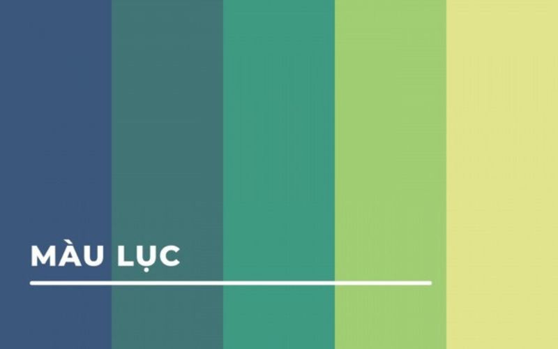 Xem tử vi tuổi Sửu 2024 ngày lành tháng tốt để xây nhà, sinh con - 10