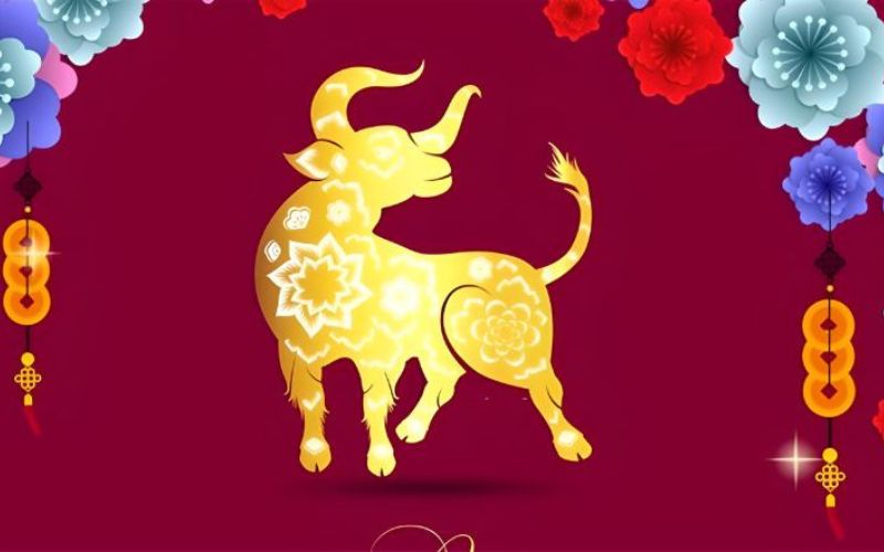 Xem tử vi tuổi Sửu 2024 ngày lành tháng tốt để xây nhà, sinh con - 2