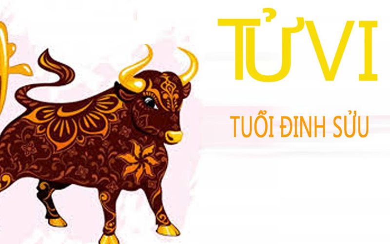 Xem tử vi tuổi Sửu 2024 ngày lành tháng tốt để xây nhà, sinh con - 4