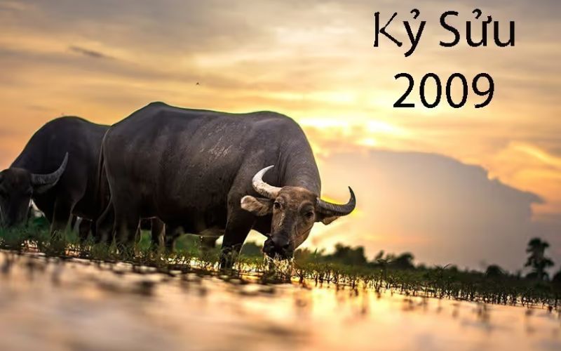 Xem tử vi tuổi Sửu 2024 ngày lành tháng tốt để xây nhà, sinh con - 5