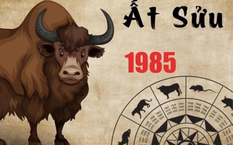 Xem tử vi tuổi Sửu 2024 ngày lành tháng tốt để xây nhà, sinh con - 6