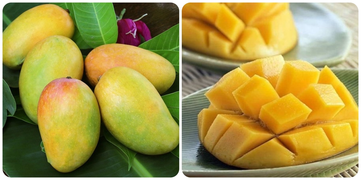 xoai-co-vitamin-gi-nen-an-xoai-xanh-hay-xoai-chin-2 Xoài có vitamin gì? Nên ăn xoài xanh hay xoài chín? - 2