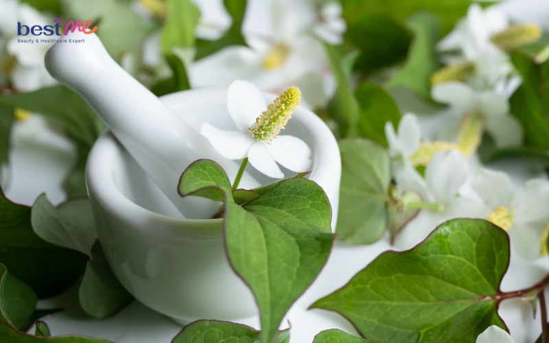 Xông hơi trị mụn ẩn bằng lá diếp cá